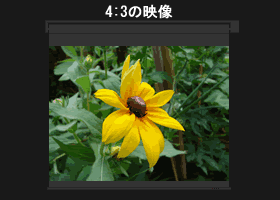 プレゼン用　(4:3)